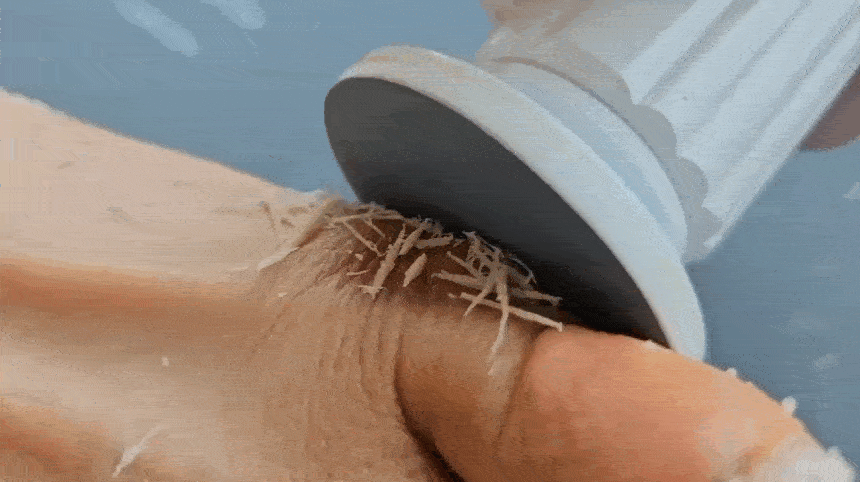 CHARM BODY  Balgari & Wind Story Promotion