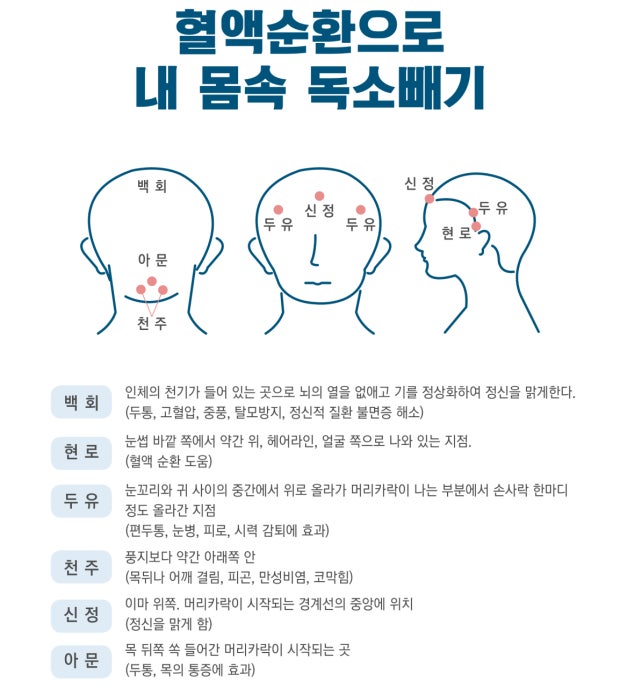 Wellive Magnetic Gua Sha Selfie Brush_Promotion Package