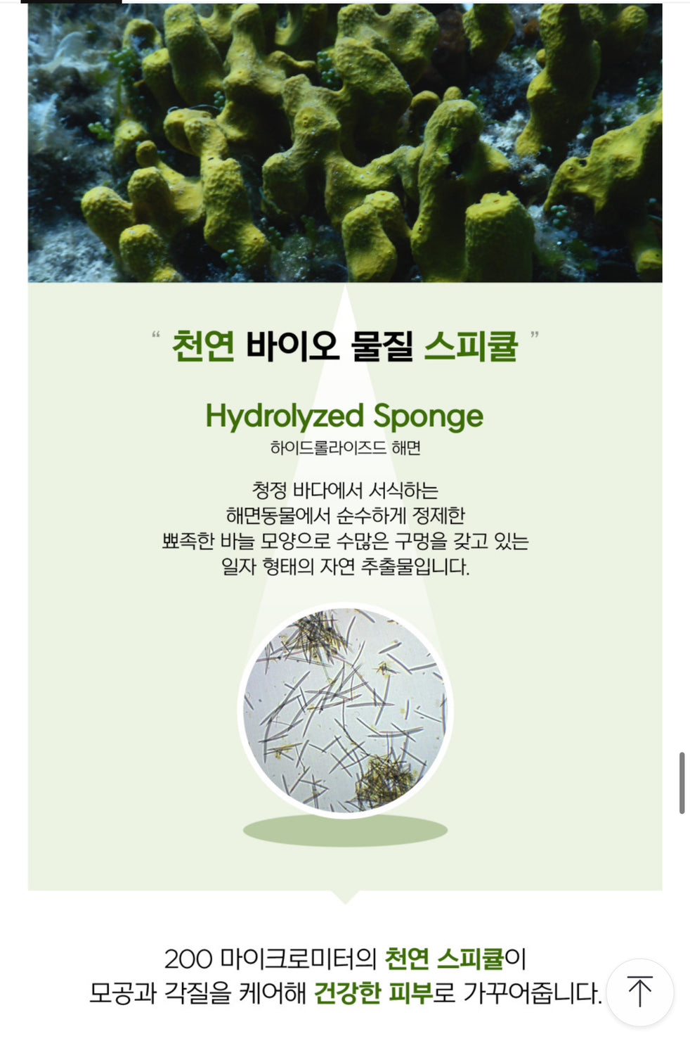 PESTLO Baby Collagen Mask + Spicule Re-Born Exfoliating Peeling Mask 탄탄 쫀쫀 피부 공구구성