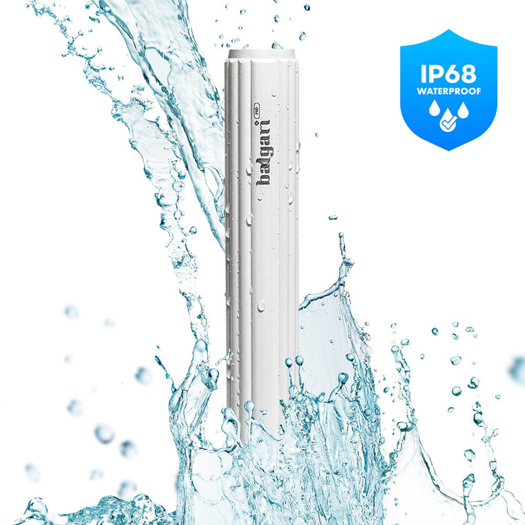 CHARM BODY  Balgari & Wind Story Promotion