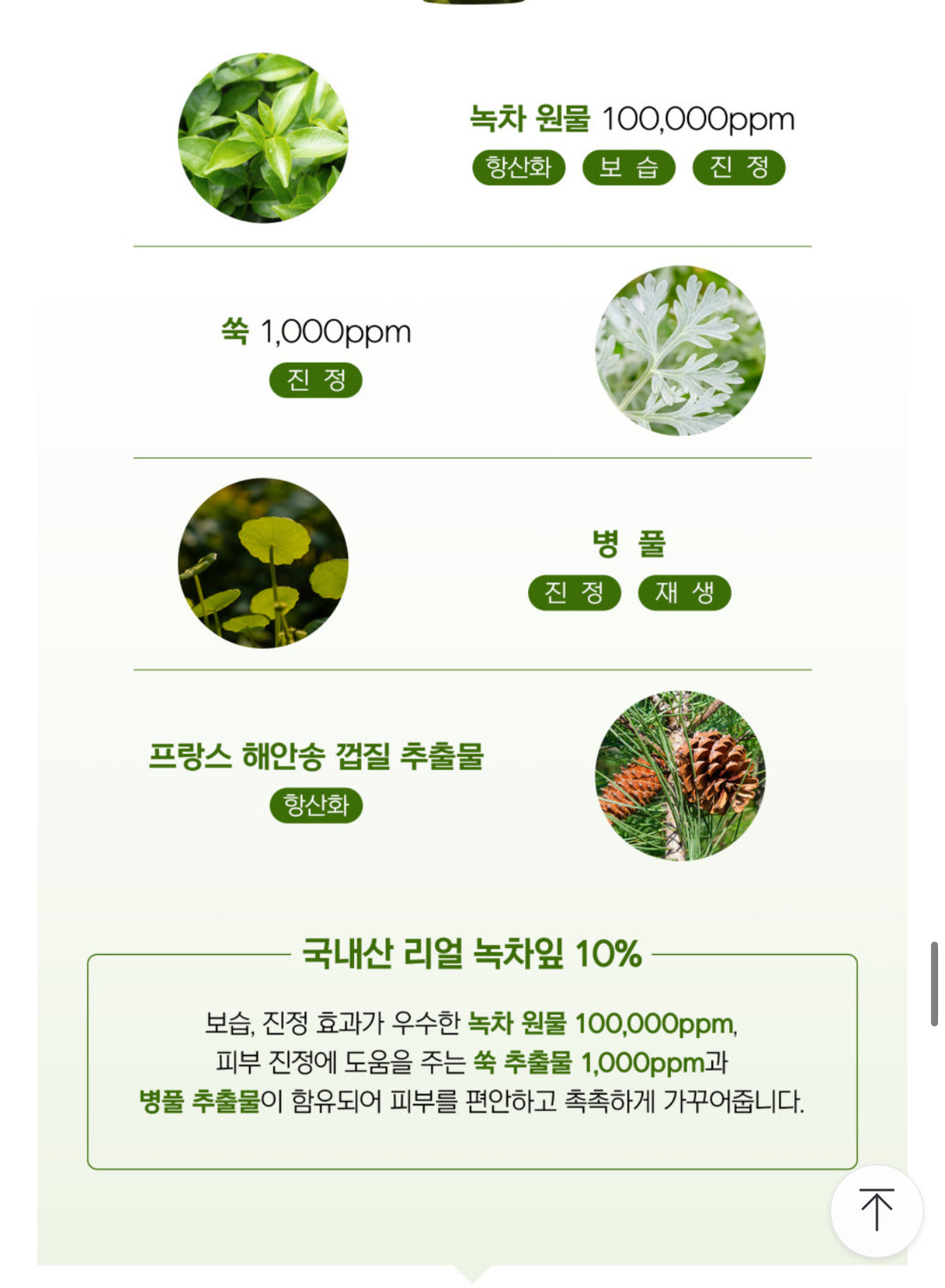 PESTLO Baby Collagen Mask + Spicule Re-Born Exfoliating Peeling Mask 탄탄 쫀쫀 피부 공구구성